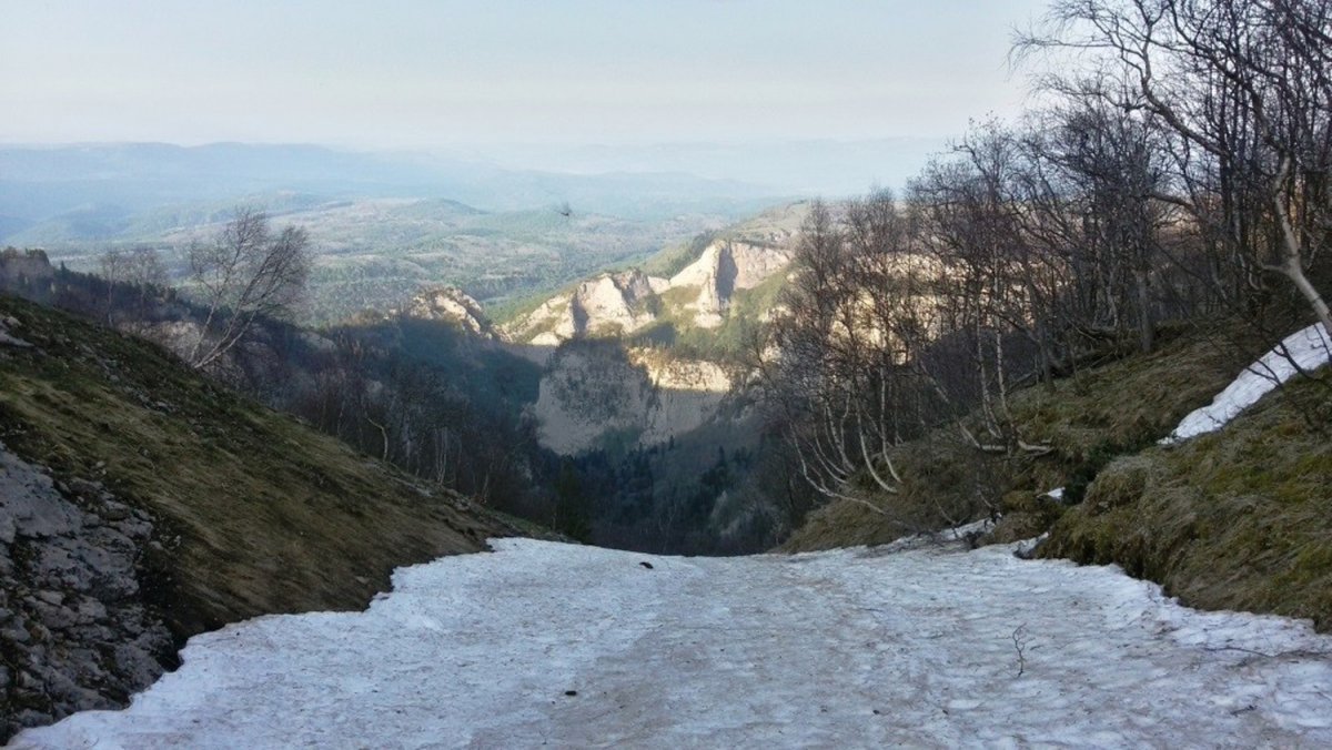 Адыгея лес весной