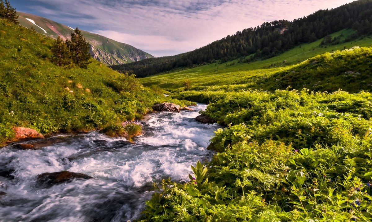 Каньон реки Цице Адыгея