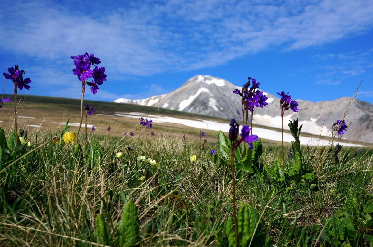 Адыгея Лаго Наки шляпа