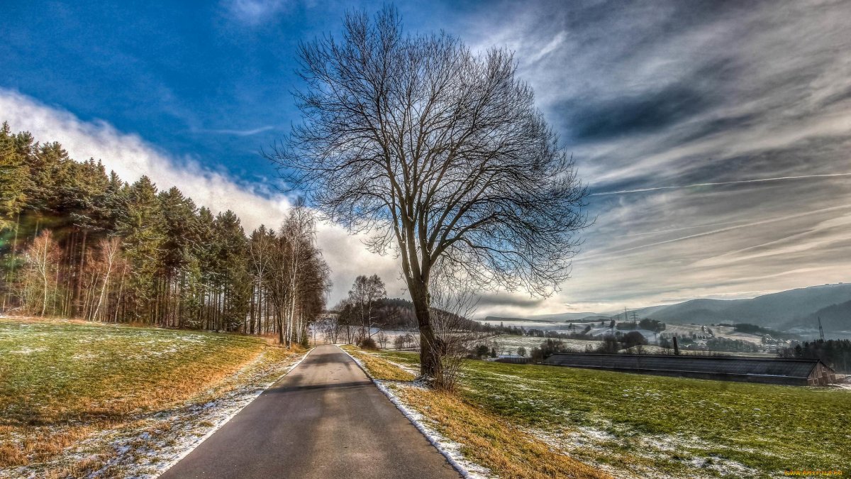 Природа с дорогой