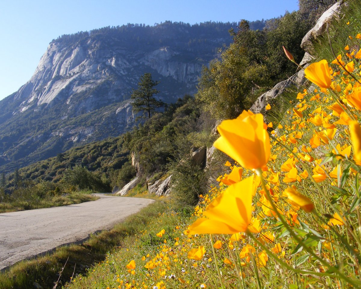 Природа Таджикистана весной