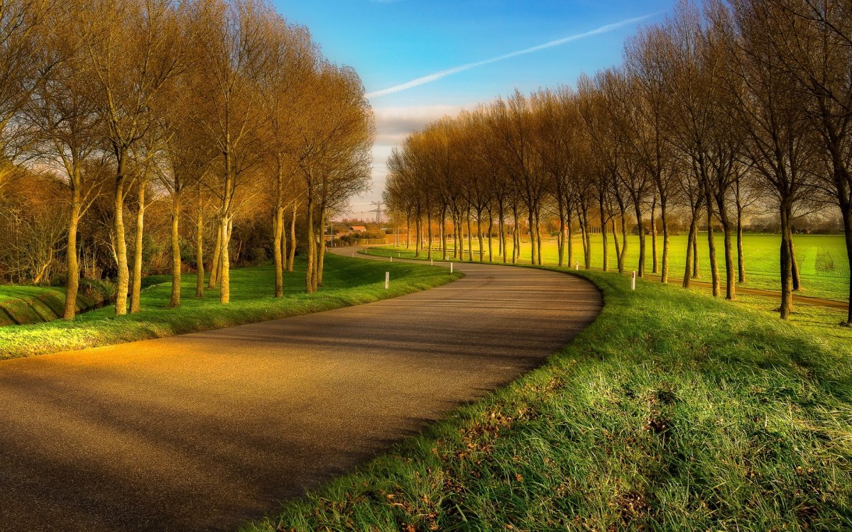 Весенняя дорога