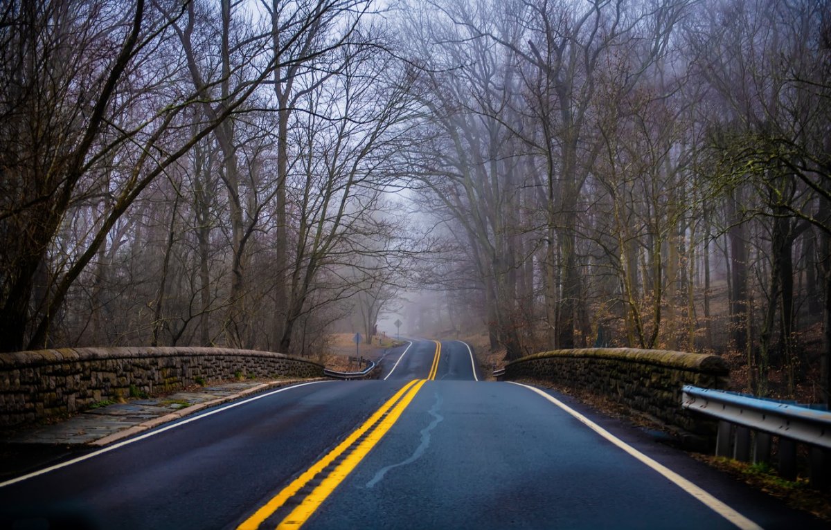 Весне дорогу!