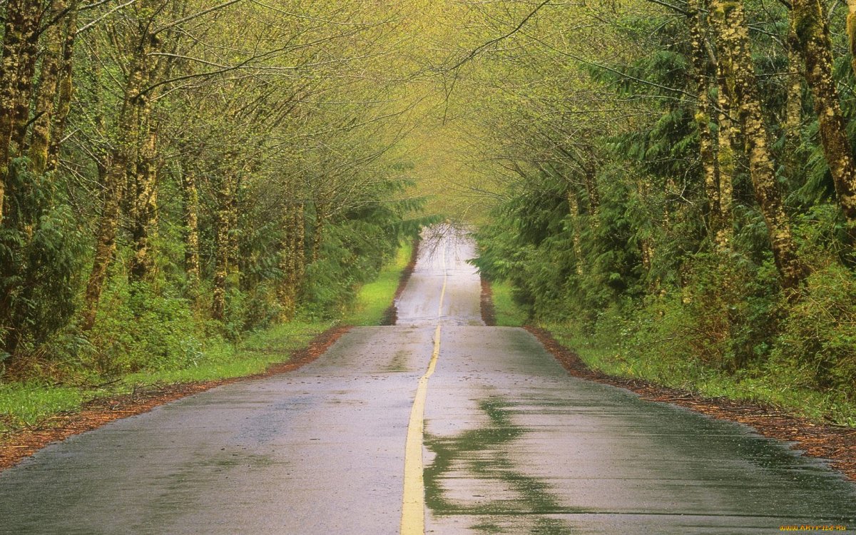 Красивая дорога