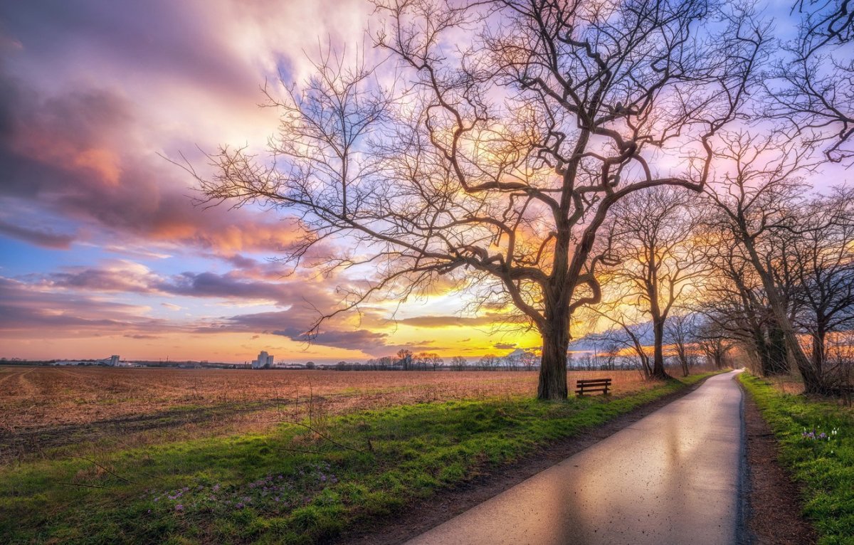 Весенние дороги