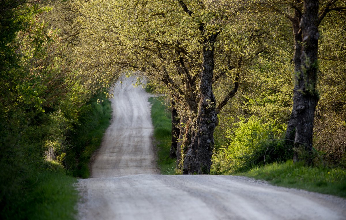 Времена года дорога