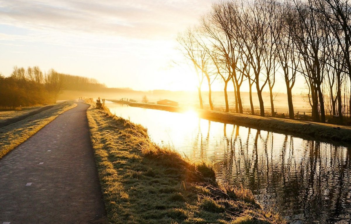 Дорога вдоль реки