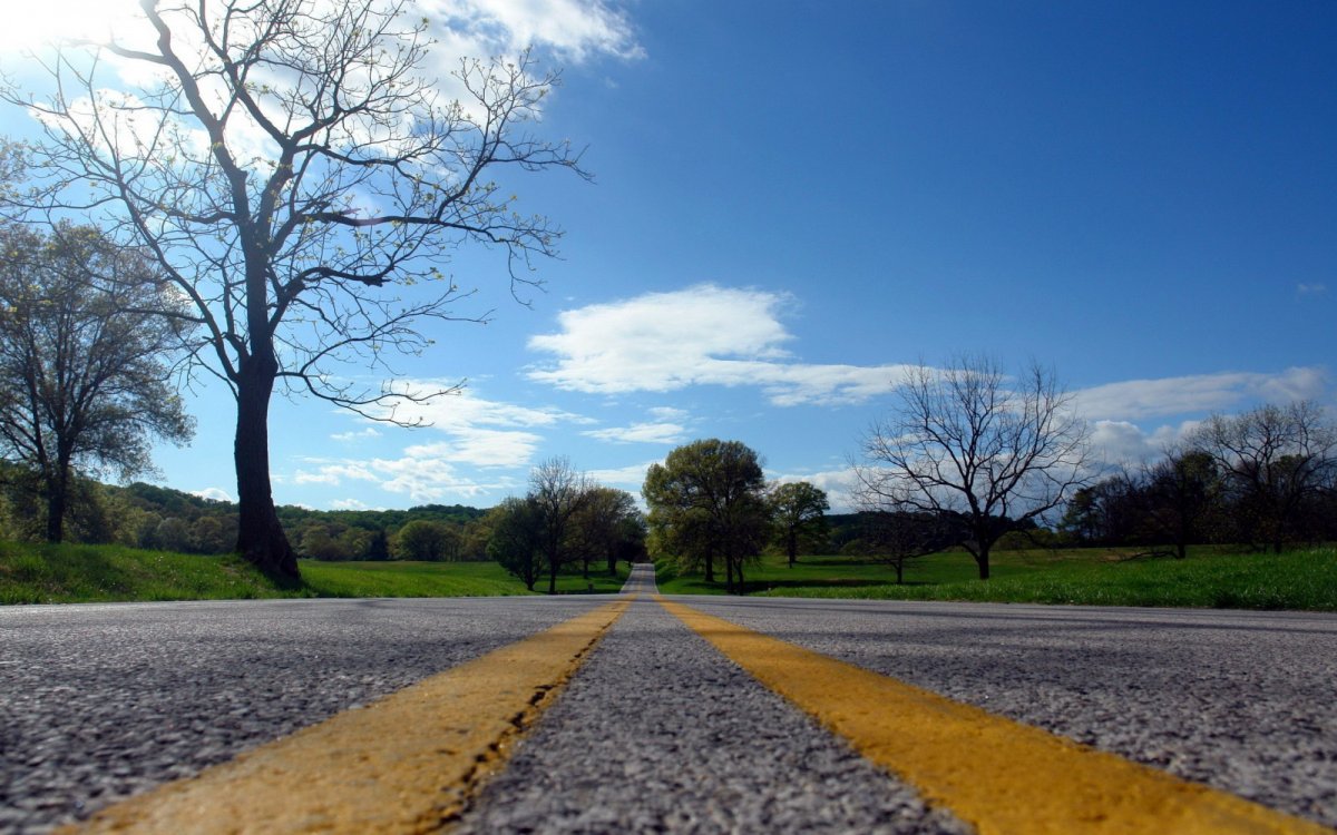Весне дорогу!