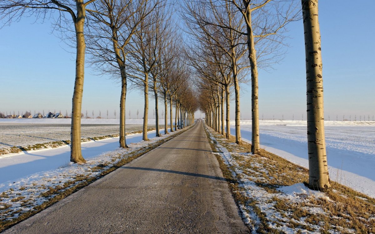 Весенние дороги