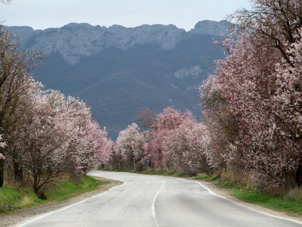 Дорога весной