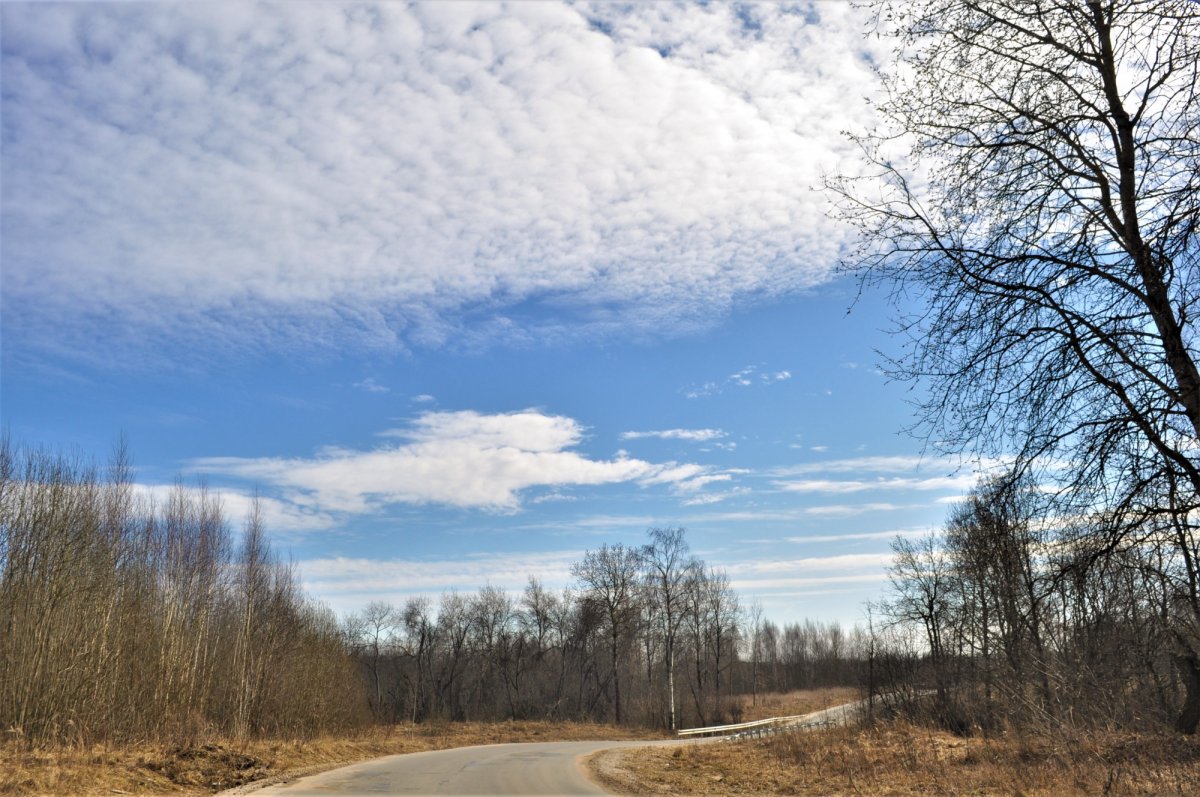 Подмосковные дороги весной