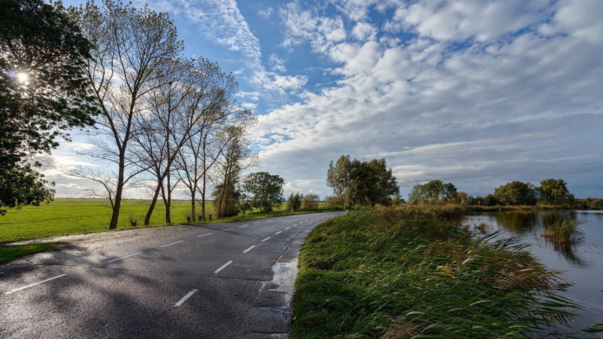 Вдоль дороги