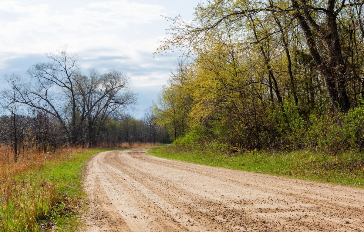Грунтовая дорога Весна