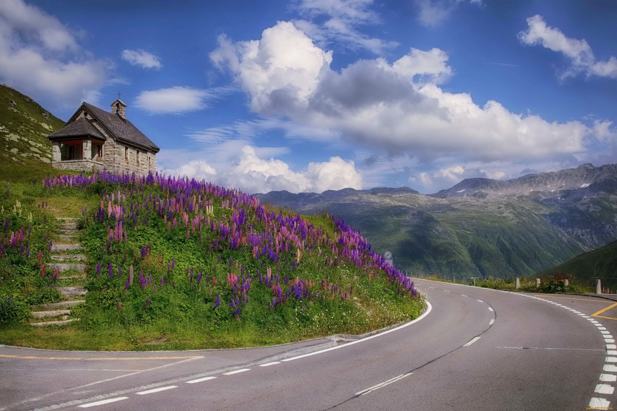 Цветочная дорога