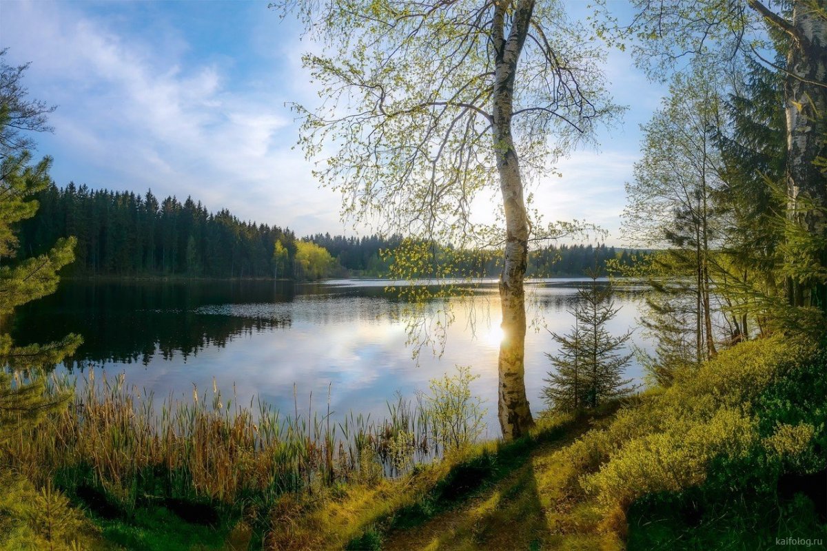 Весна речка