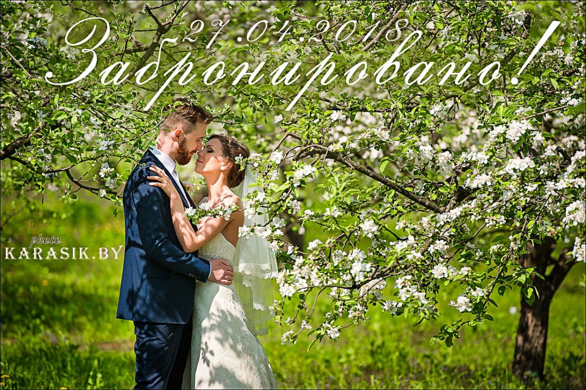 Пара в цветущем яблоневым саду