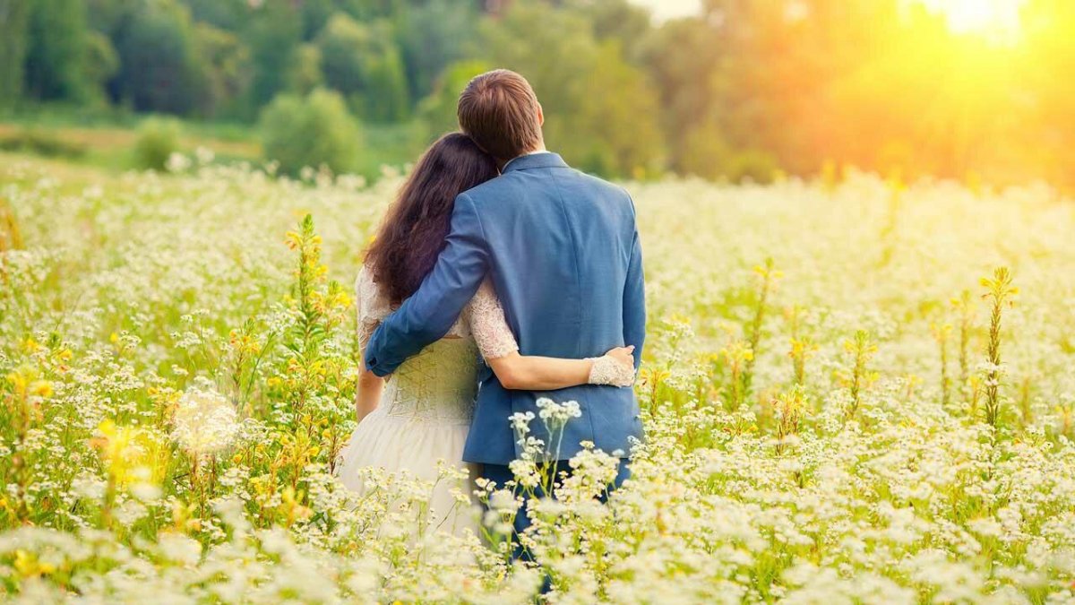 Влюбленные в поле