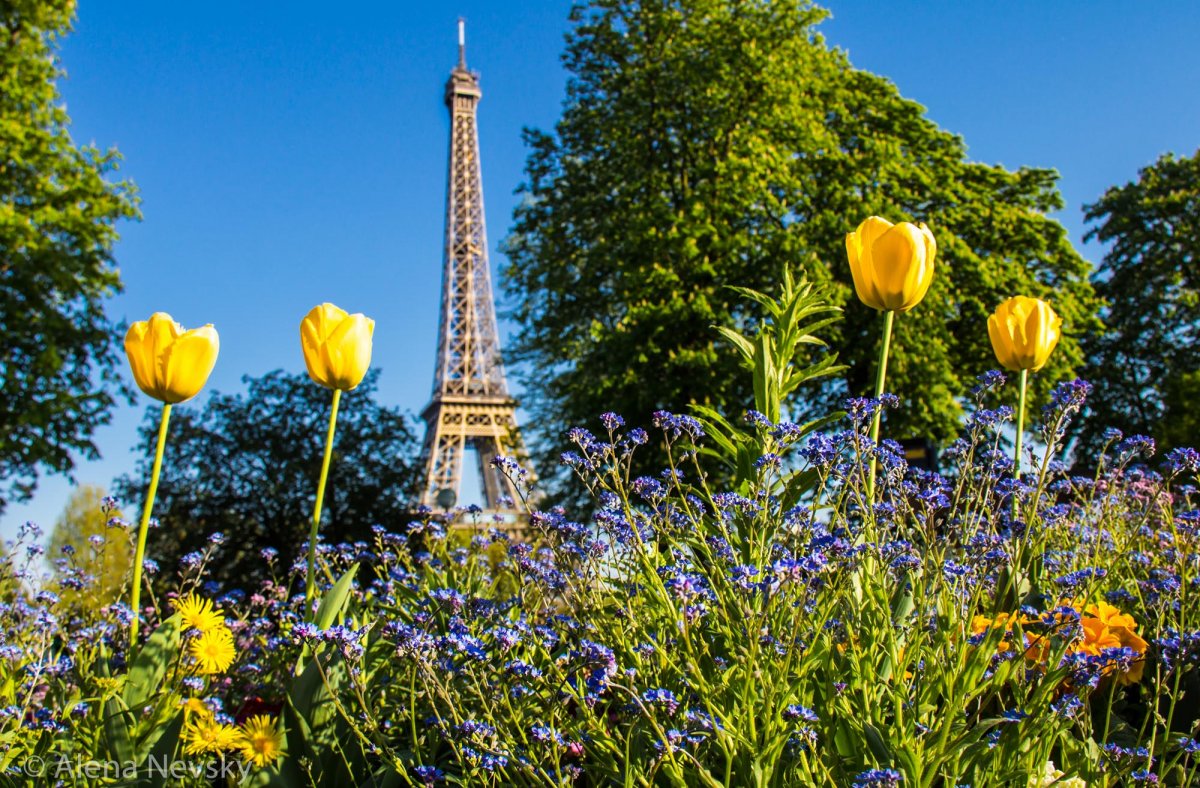Весна в Париже