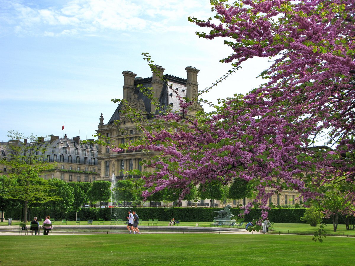 Весна во Франции фото