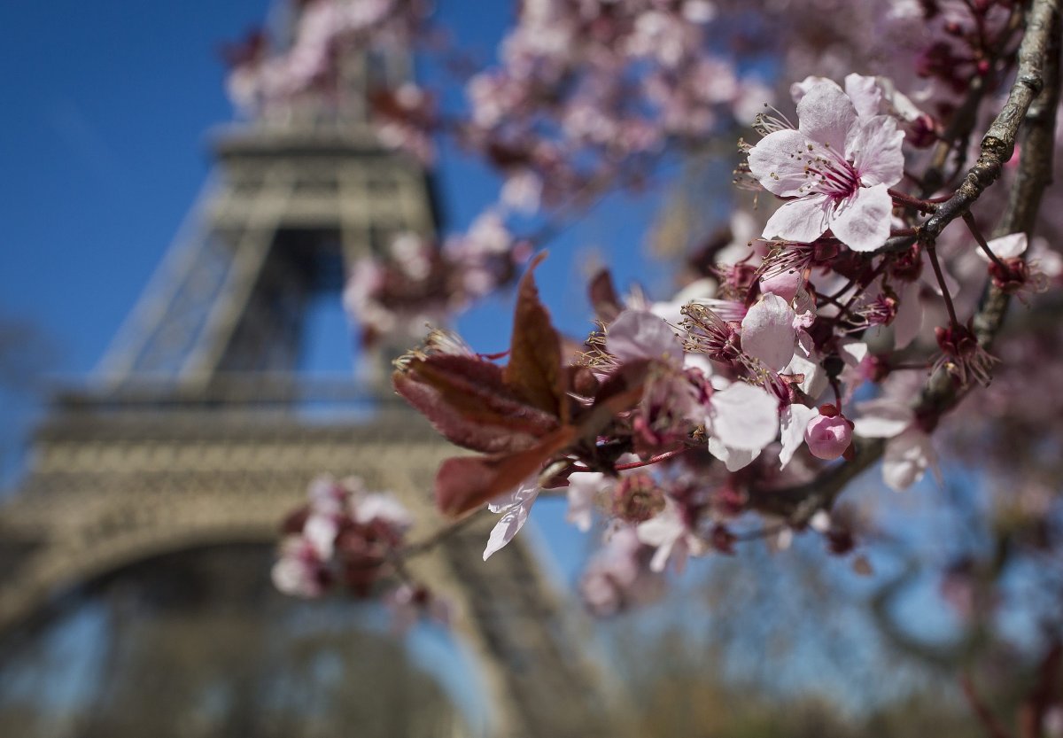 Франция Весна цветы