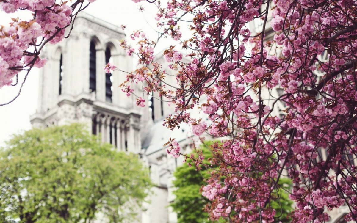 Весенняя Европа