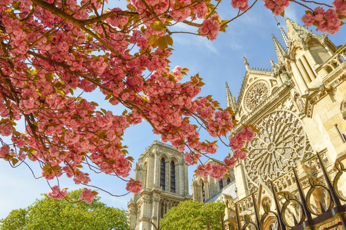 Париж весной