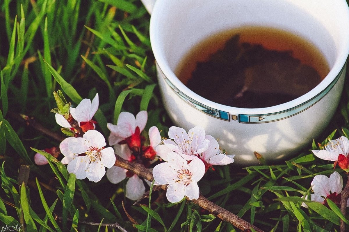 Утро кофе Весна