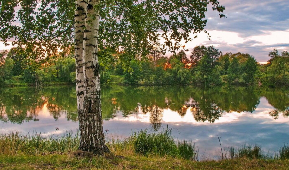 Природа деревня речка Березки