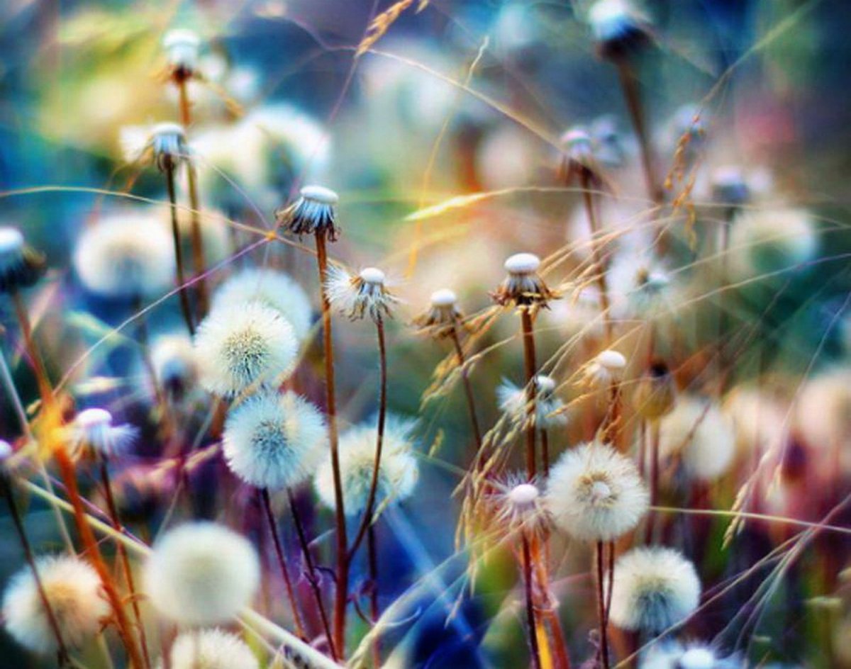 Природа Вдохновение