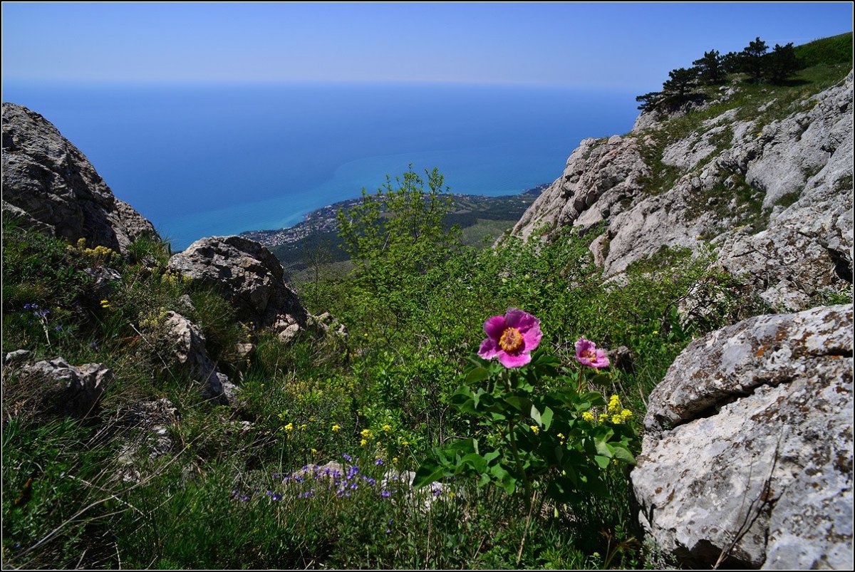 Крым Весна яйла