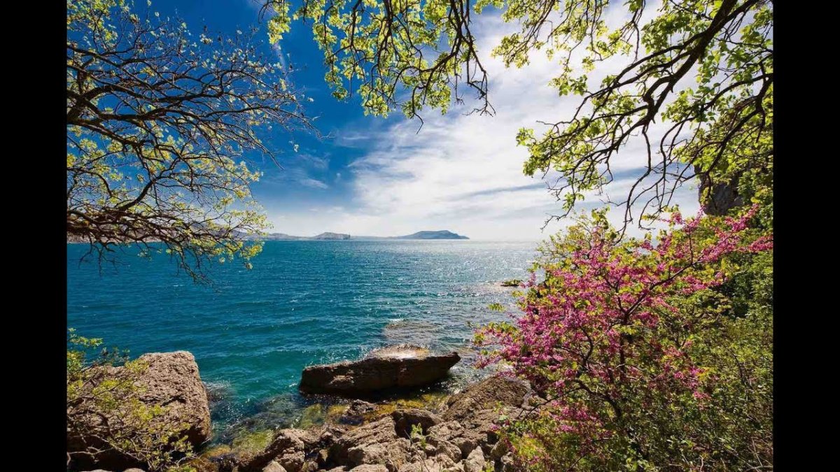 Крымская Весна Гурзуф Ялта