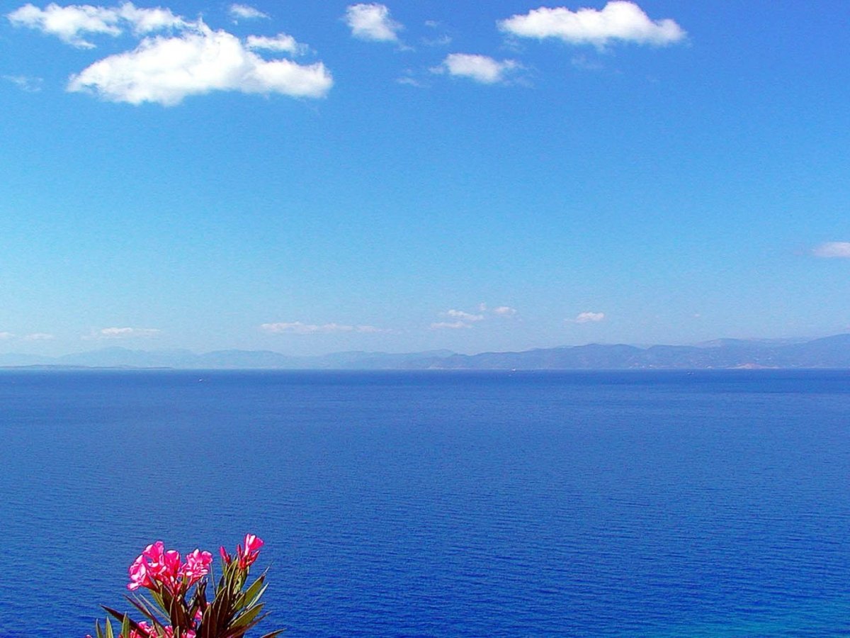 Небо море цветы