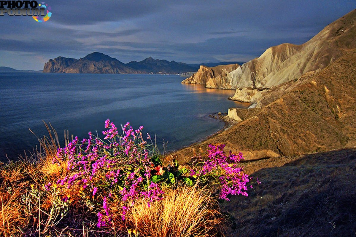 Мыс Агира Крым цветы
