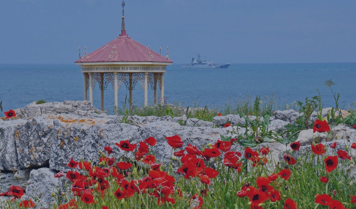 Херсонес Севастополь цветение маков