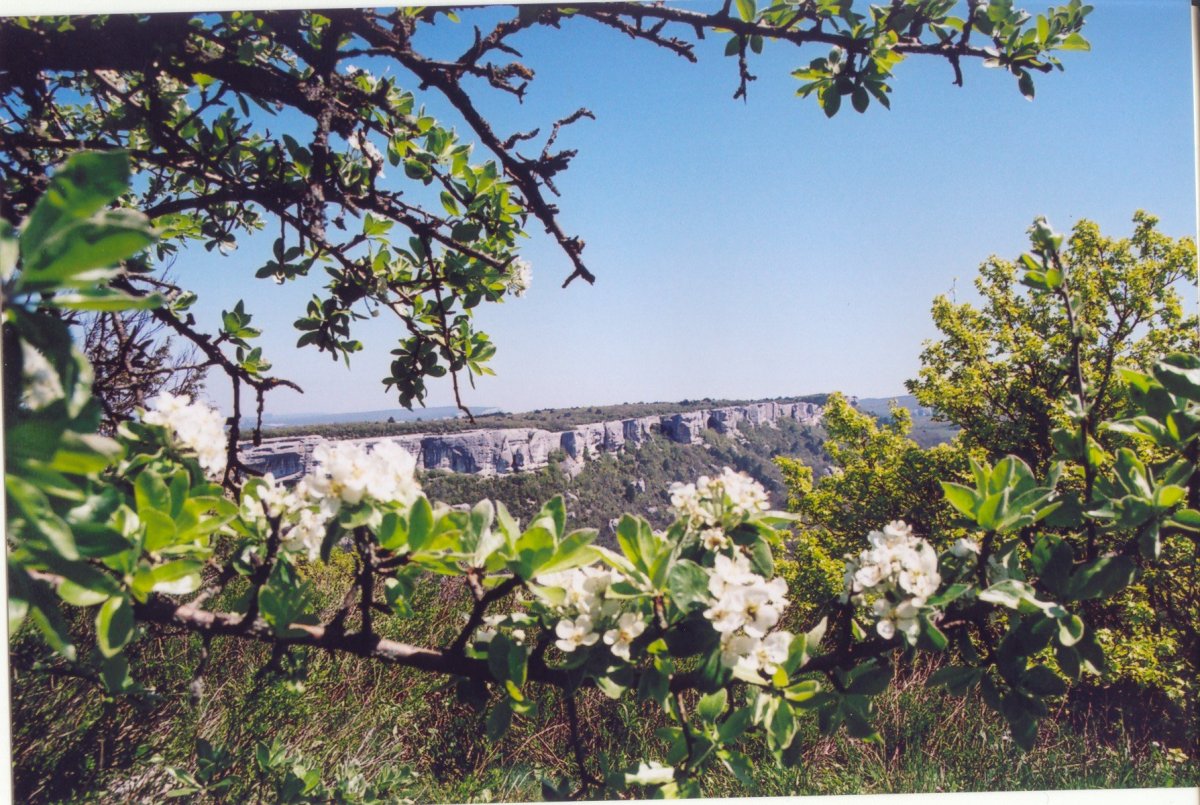 Весна в Крыму обои на рабочий стол