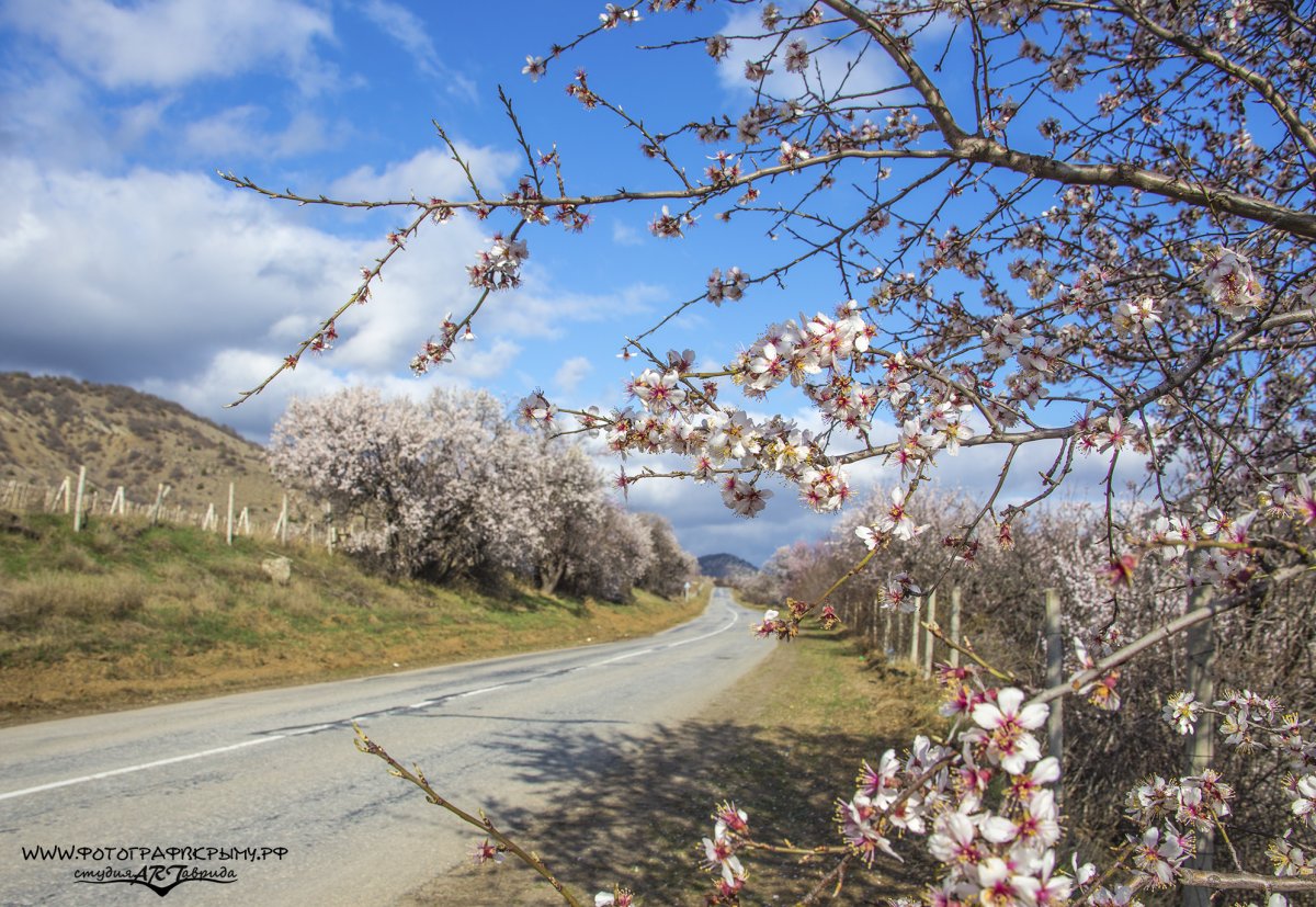 Крым в марте