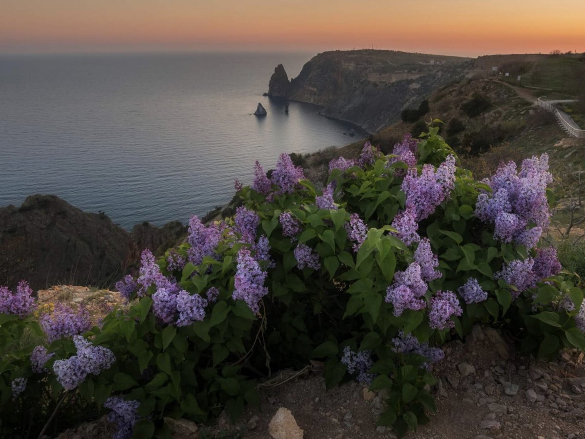 Ялта мыс Фиолент