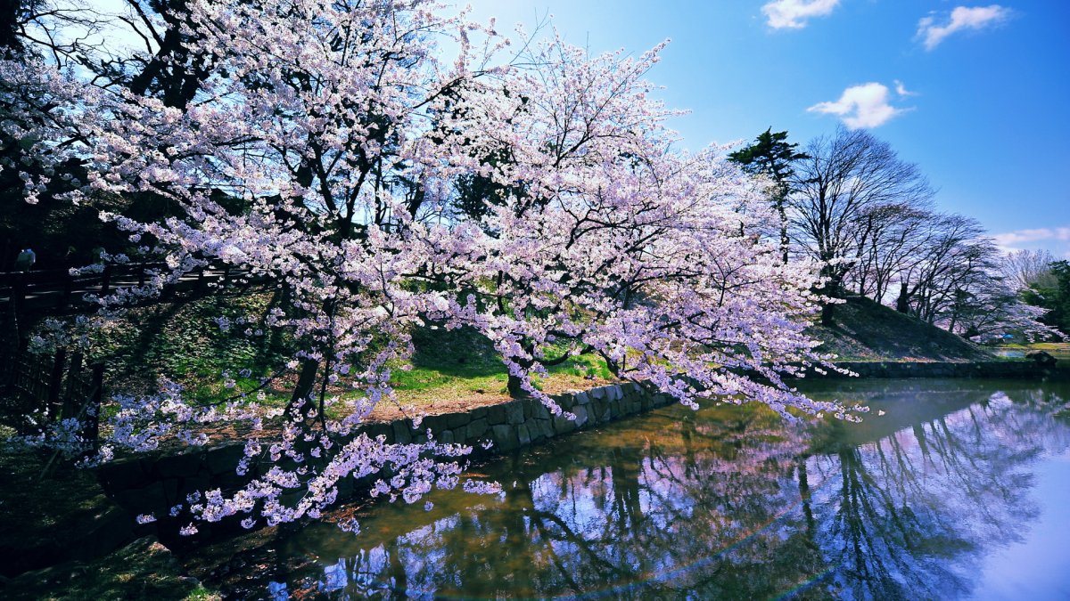 Весна природа