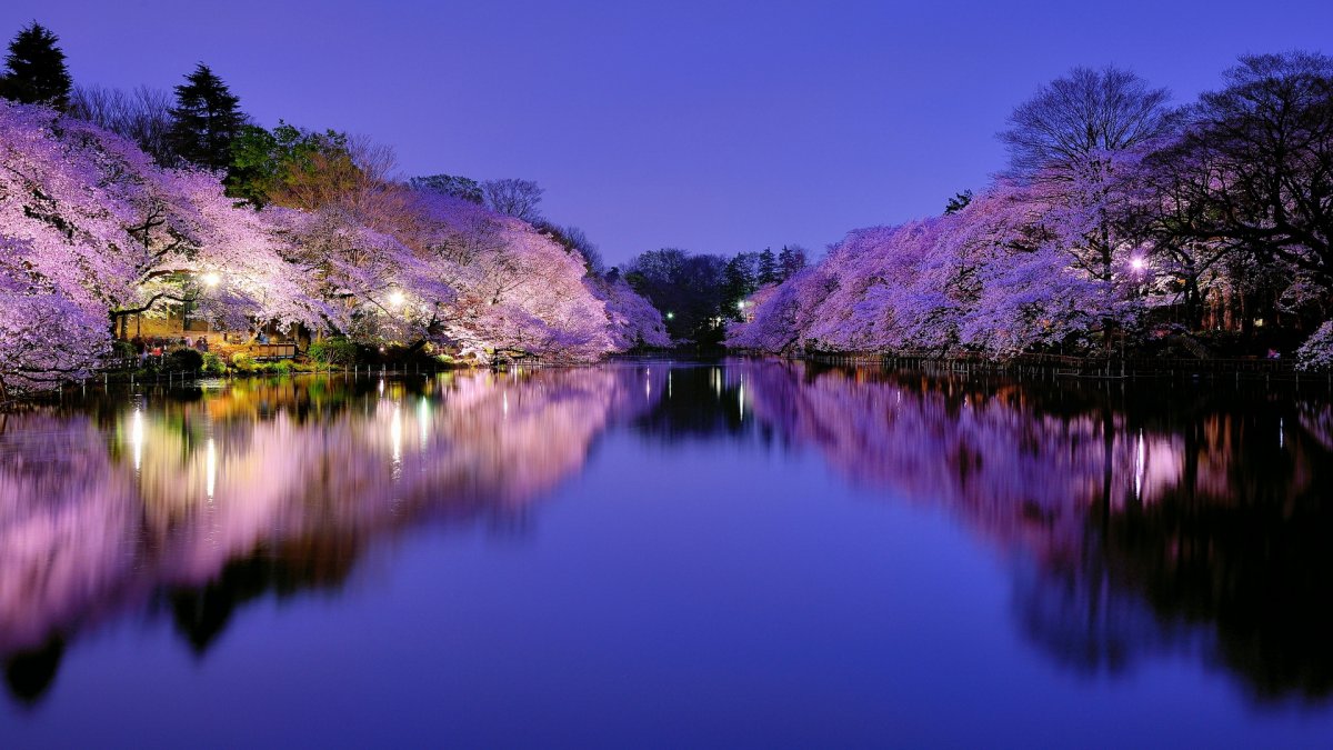 Япония парки пруд Osaka