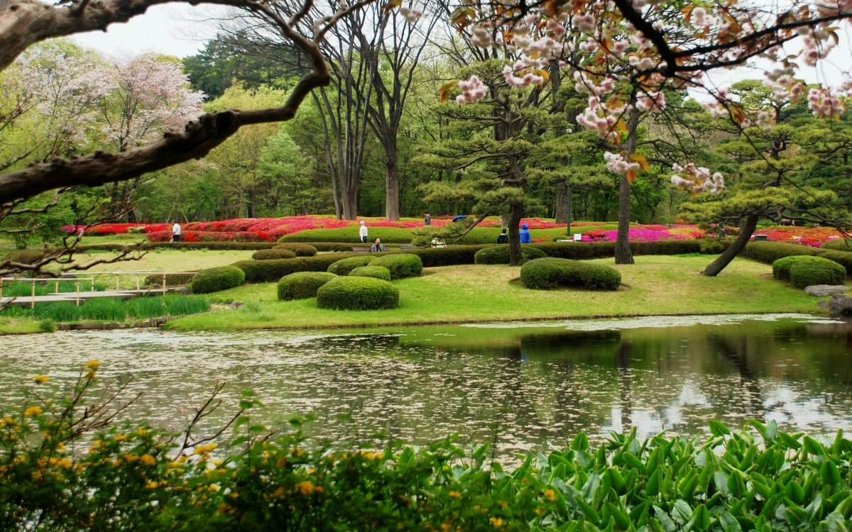 Парк Хананако в Японии