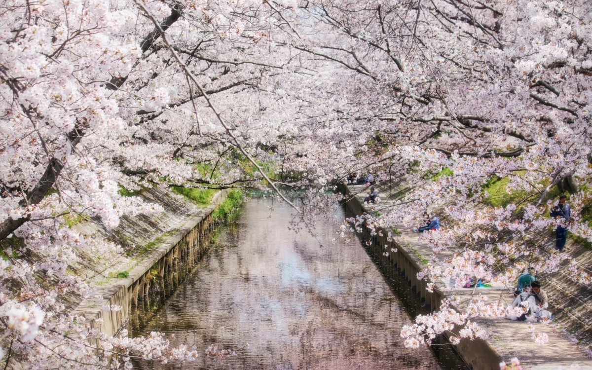 Риссюн начало весны Япония