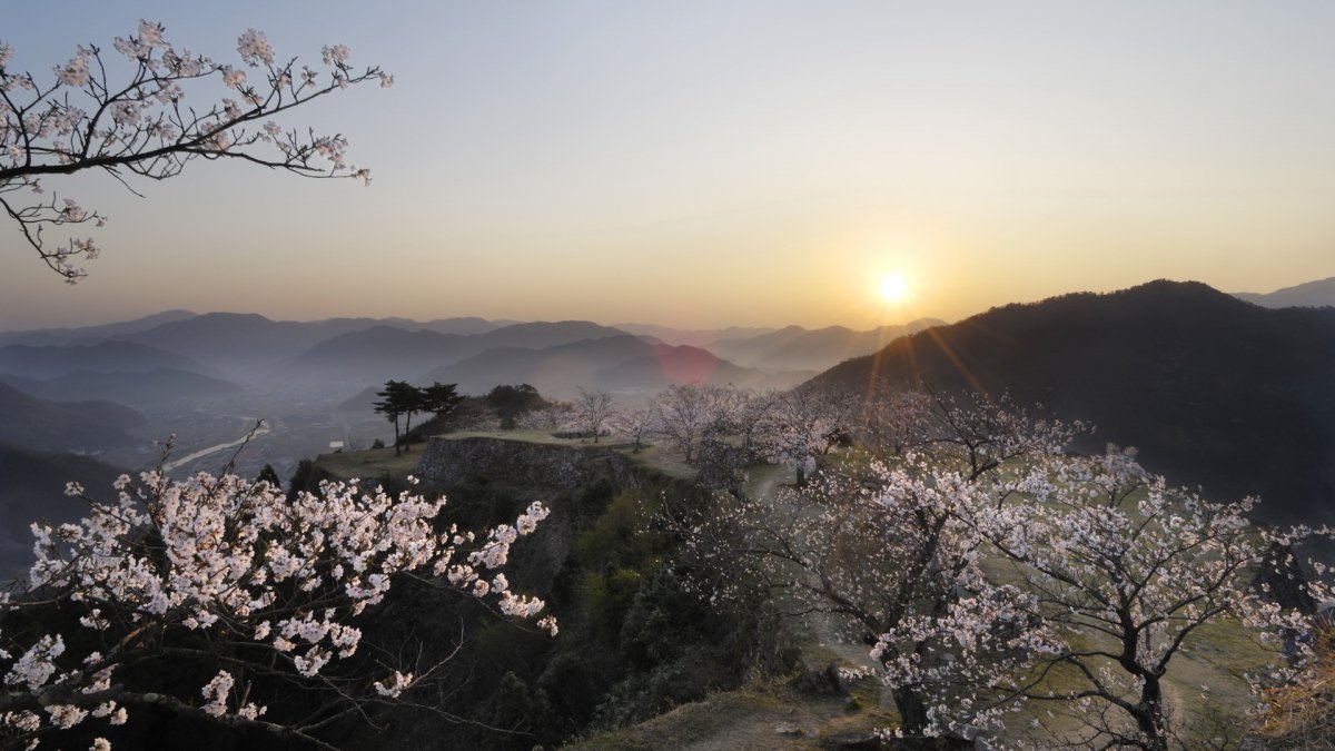 Япония туман6 сад