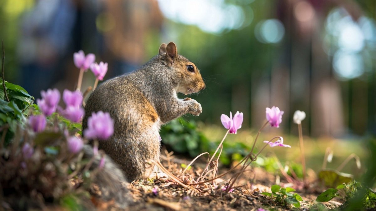 Звери весной