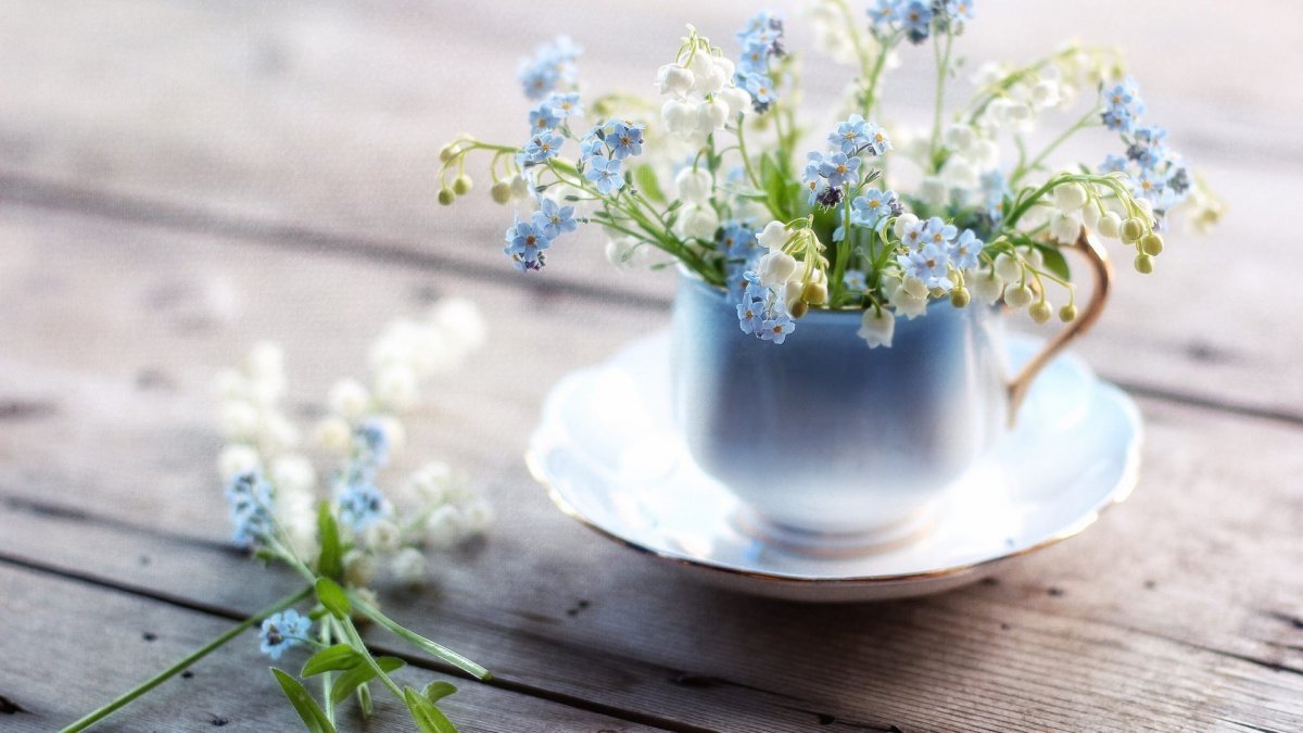 Ландыши и незабудки