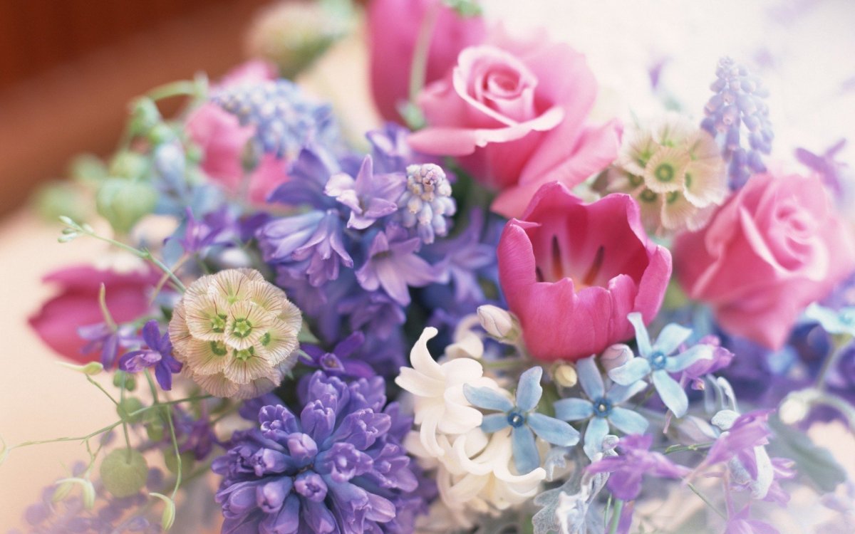 Утро лето цветы