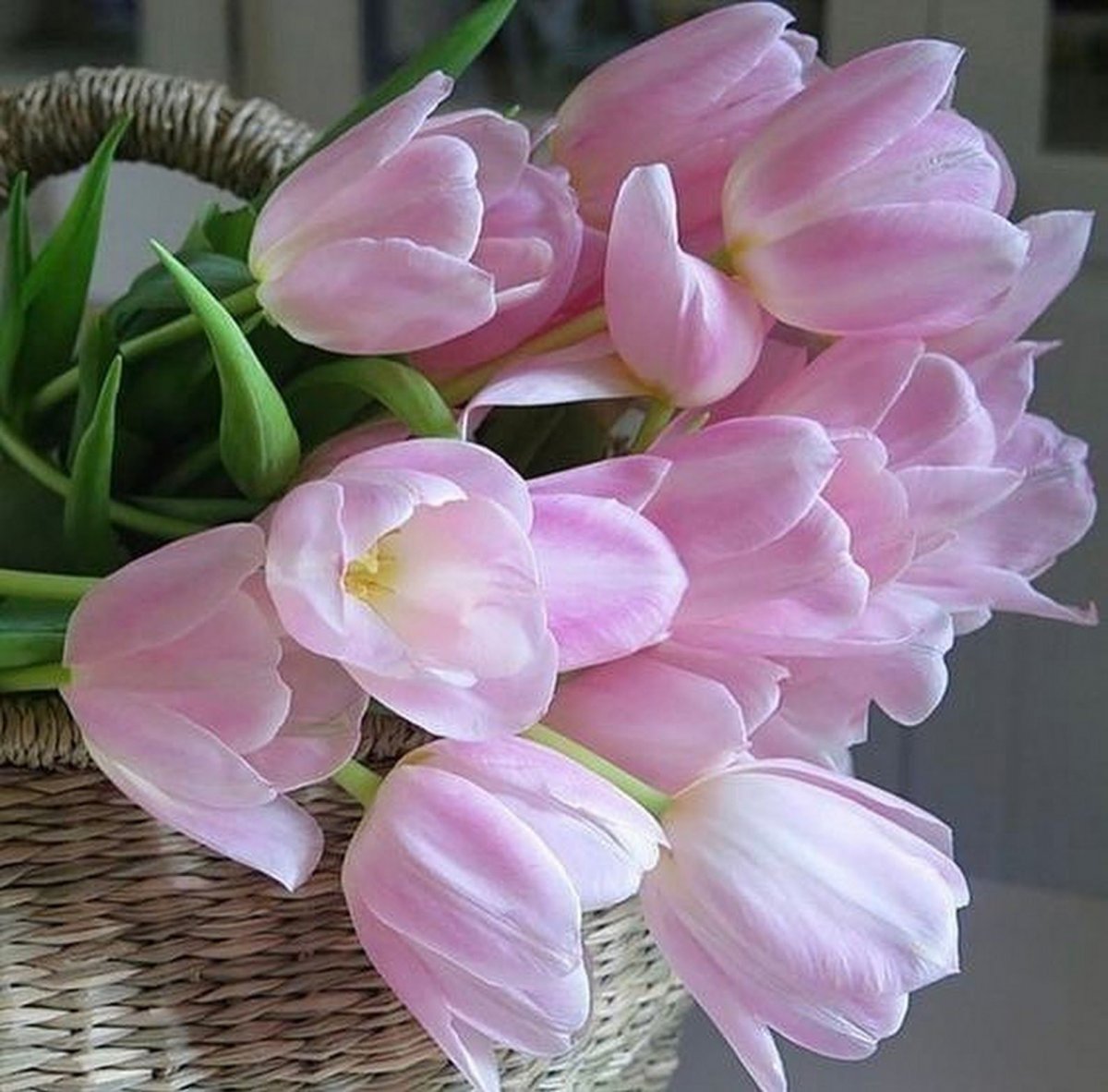 Нежные цветочки Анютины глазки,