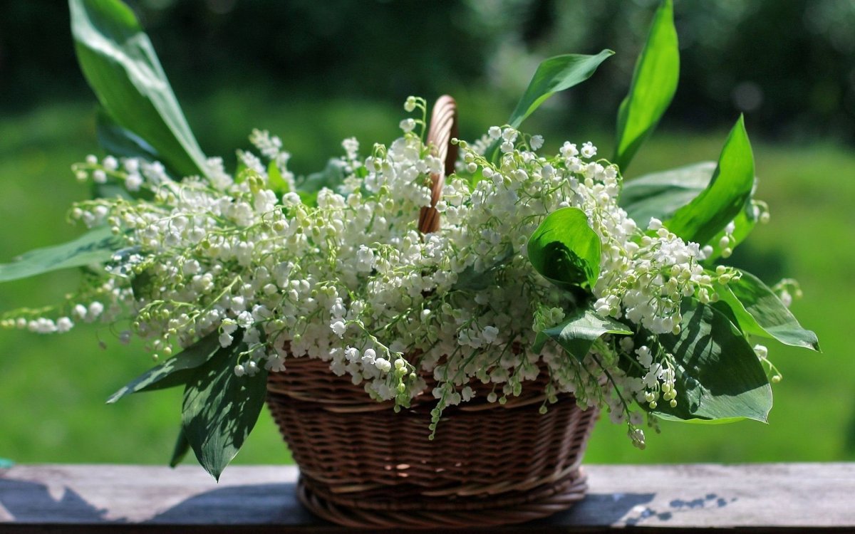 Букет ландышей