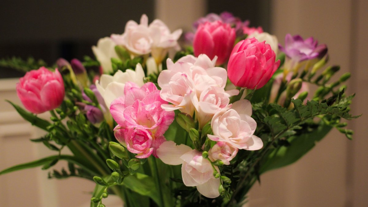 Пень с цветочками