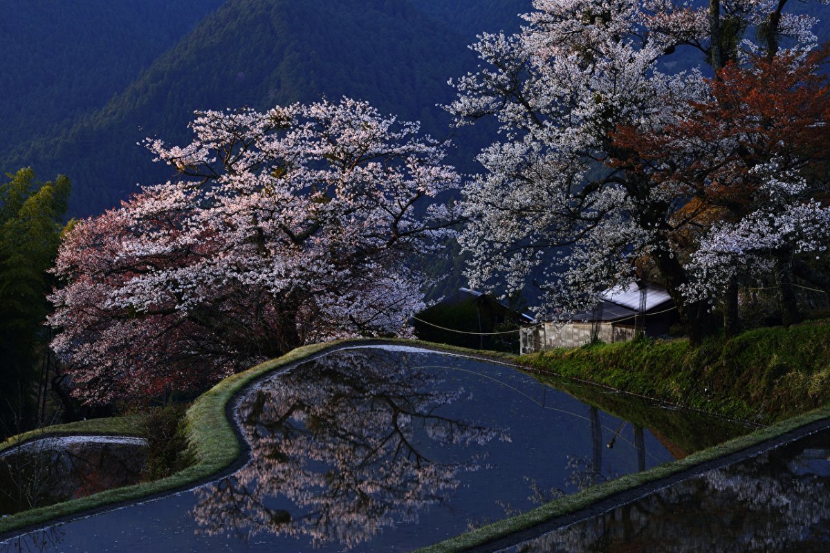 Парк Киото Япония