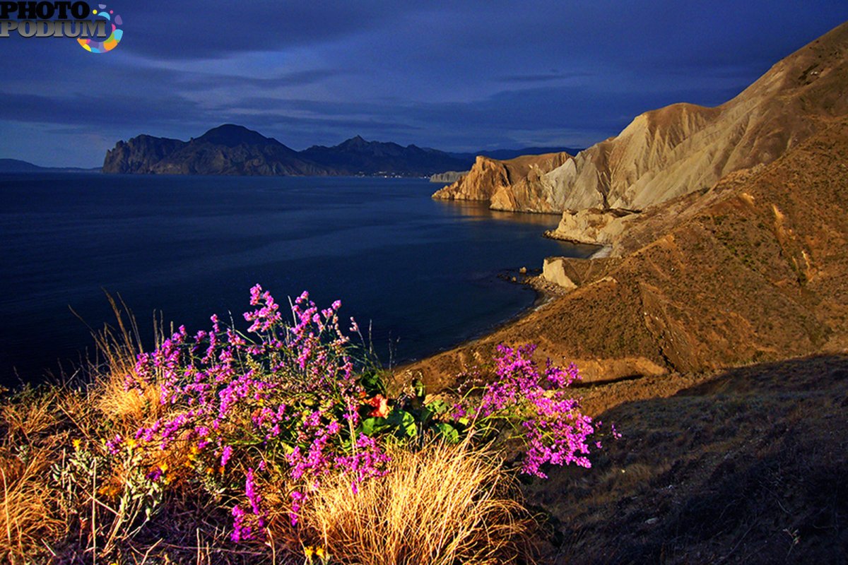 Весна в Крыму